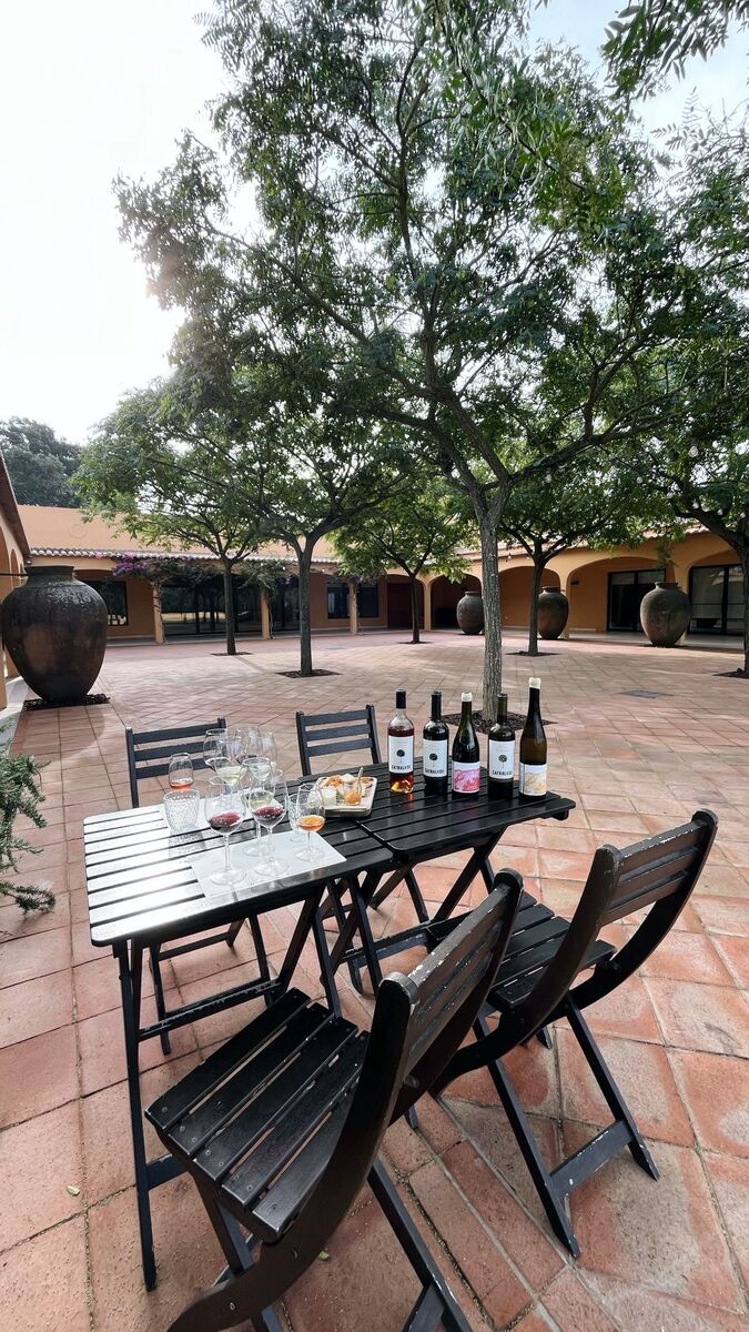 Wines and petiscos set out on a table in a sunlit winery courtyard