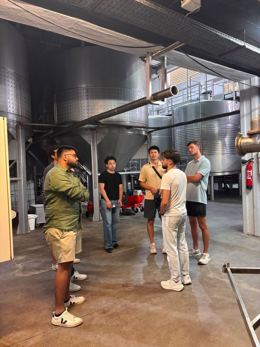 Guided walk through the winery cellar among the stainless steel fermentation tanks